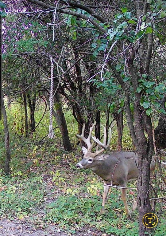 Picture 33
