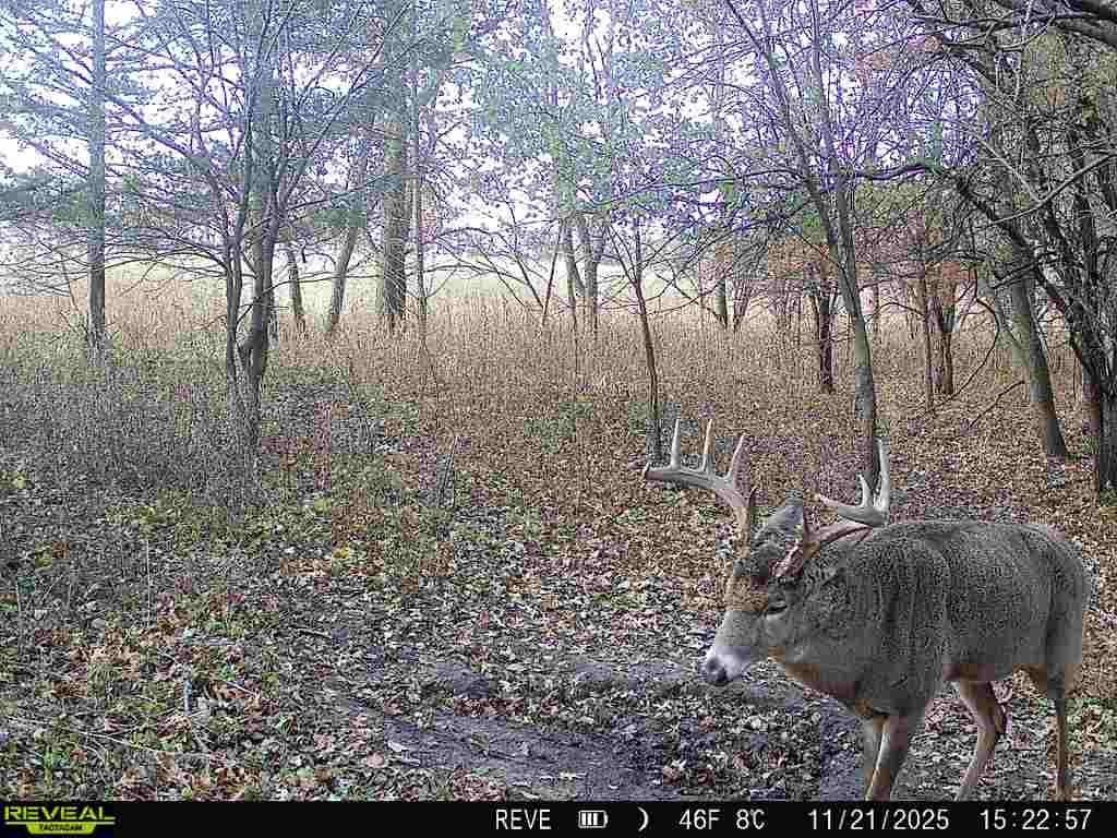 Picture 59