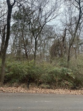 Duncanville Treed Lot For Sale