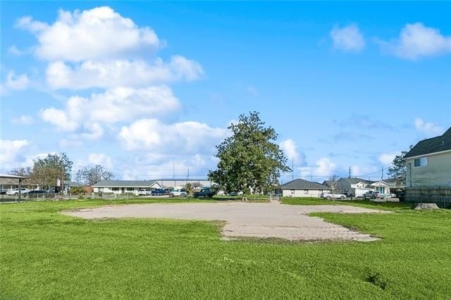 Picture 8