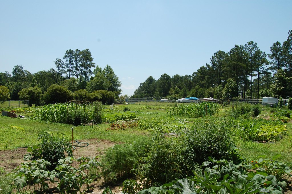 Picture 20