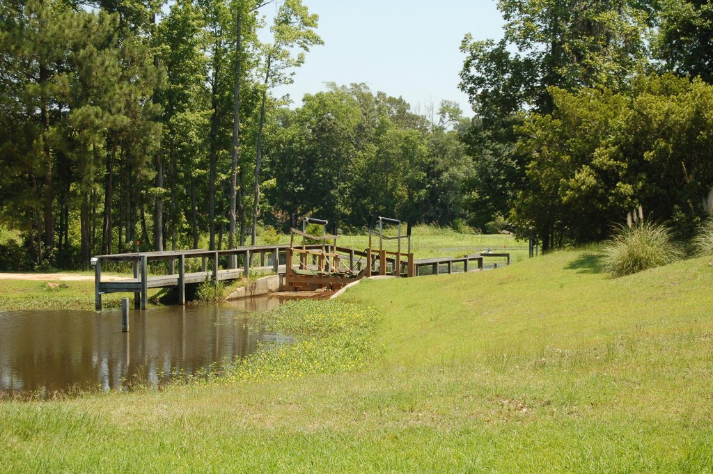 Picture 9