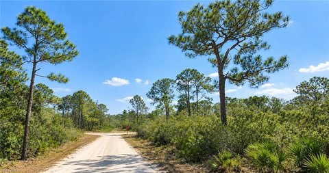 Land, LAKE PLACID, FL