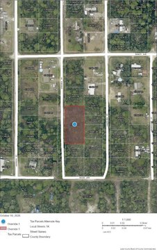 Land, PAISLEY, FL
