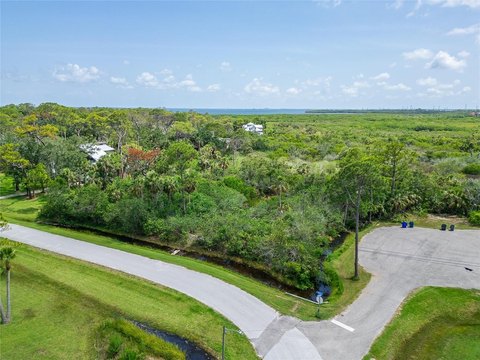 Untouched Land in Oldsmar, FL