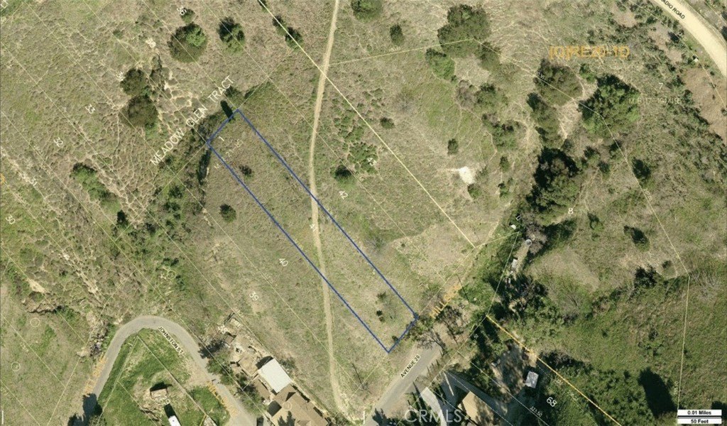 Picture 13