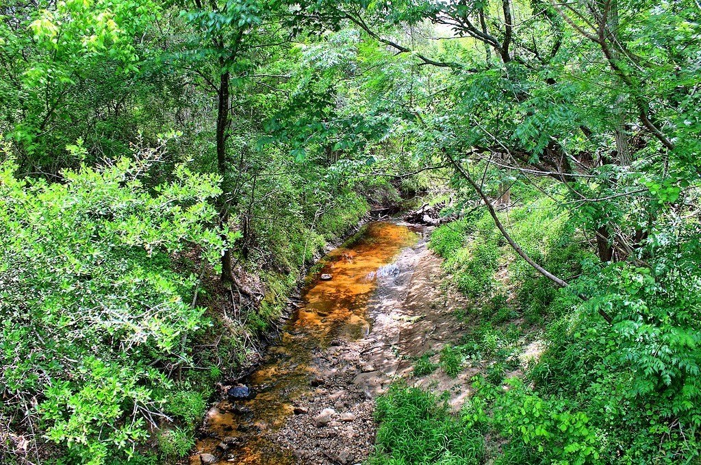 63 Acres of Pastureland Near Weimar