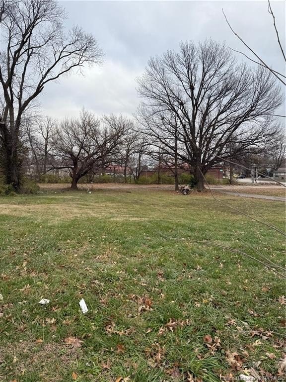 Picture 3
