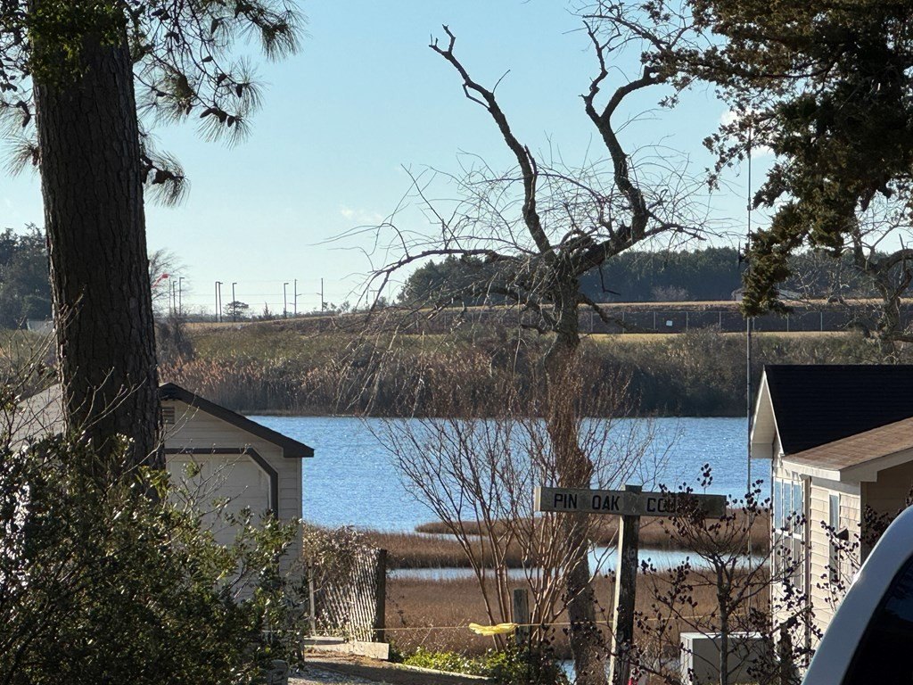 Picture 22