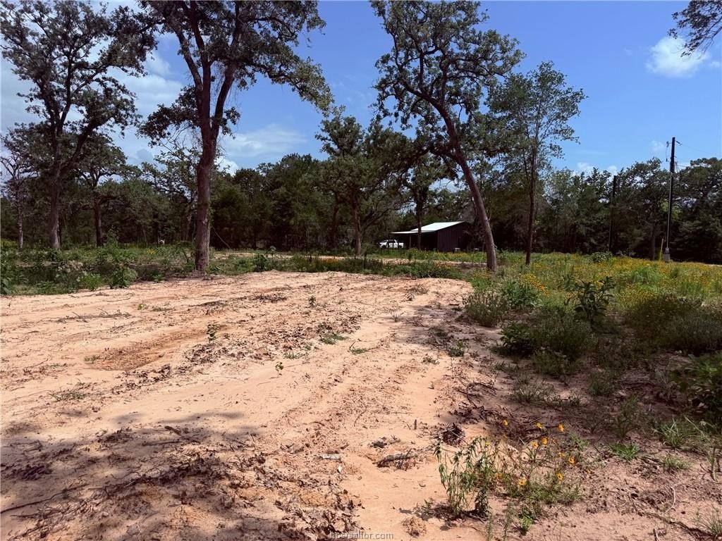 Wooded Land in Beaver Creek