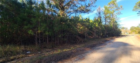 Coastal Land Opportunity, Townsend, GA
