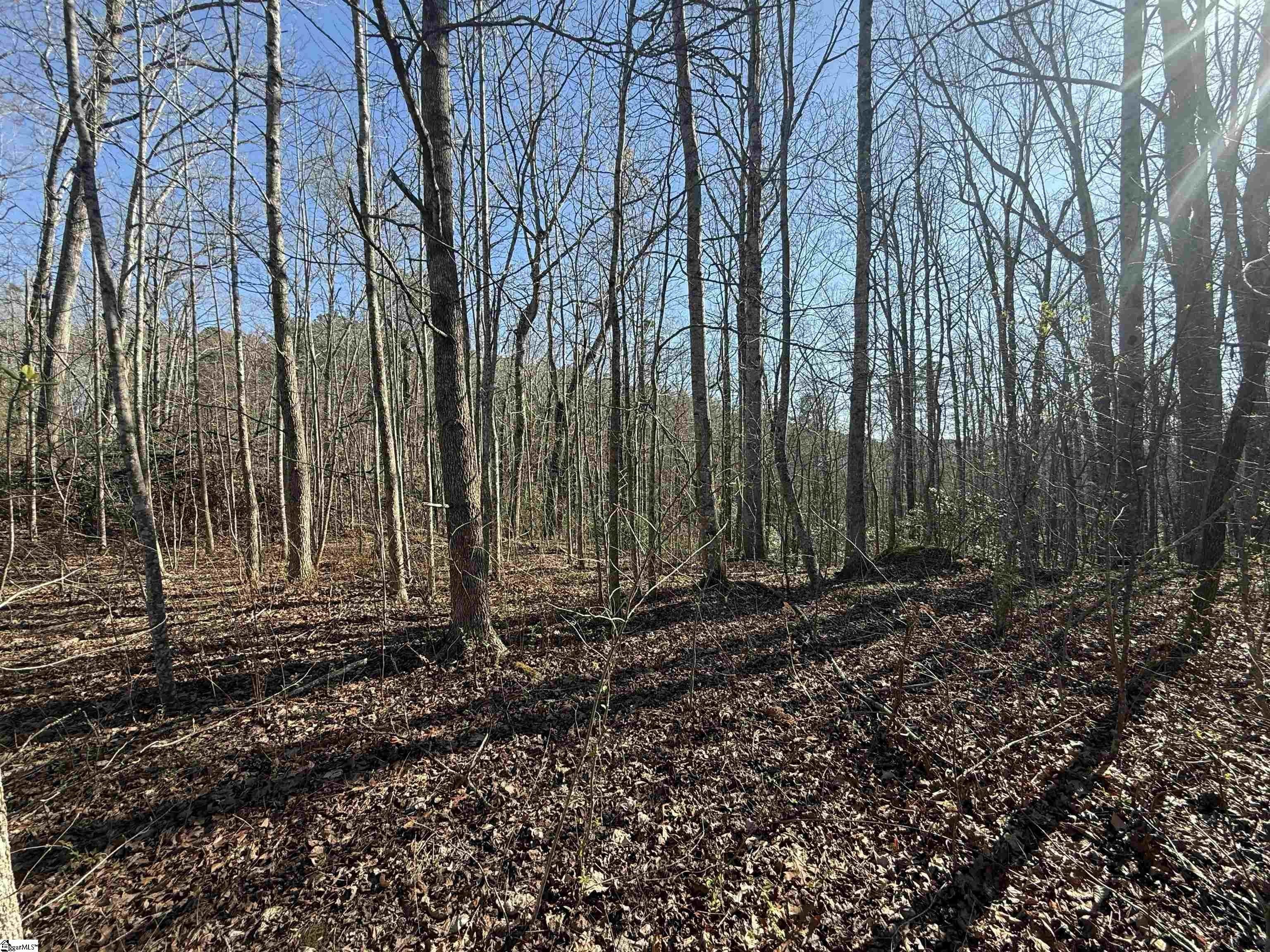 Travelers Rest Homesite Opportunity