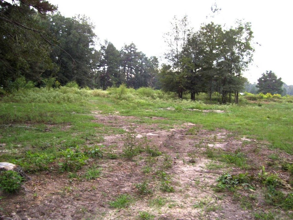Picture 13