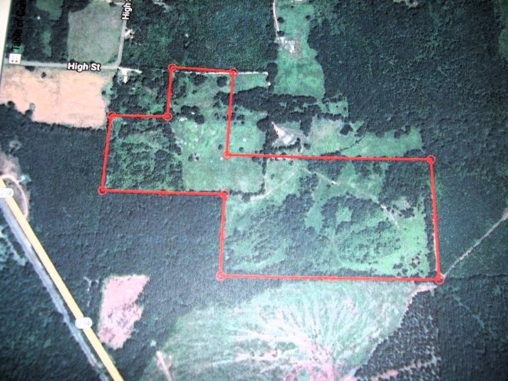 Picture 15