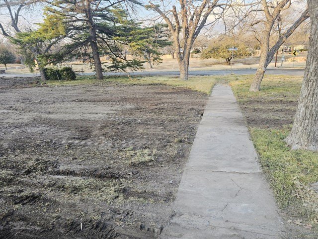 Picture 6
