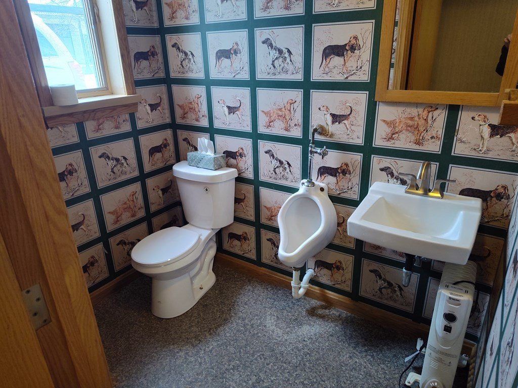 Picture 11