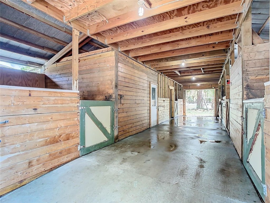 Picture 21