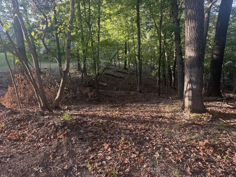 Land, Sunrise Beach, MO