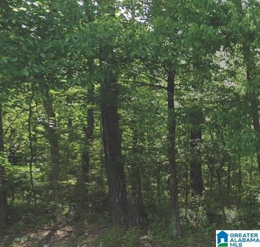 Residential Land Lot