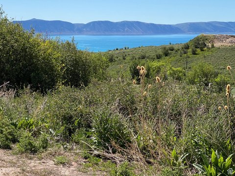 RV Lot Near Bear Lake