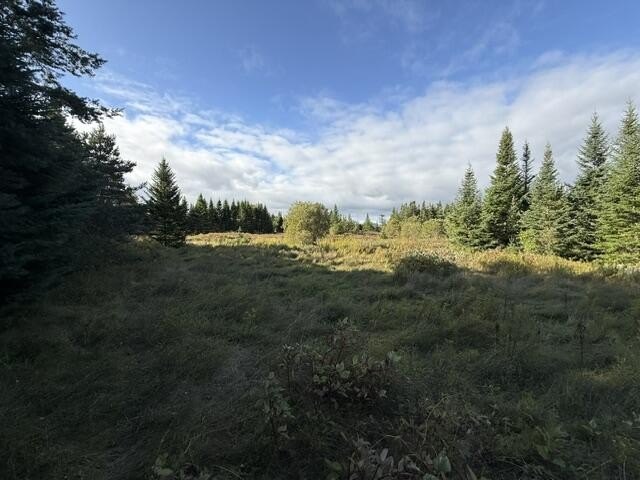 Picture 15