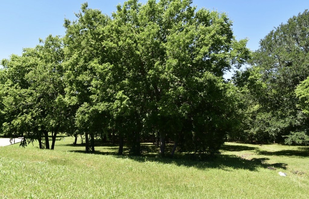 Picture 7