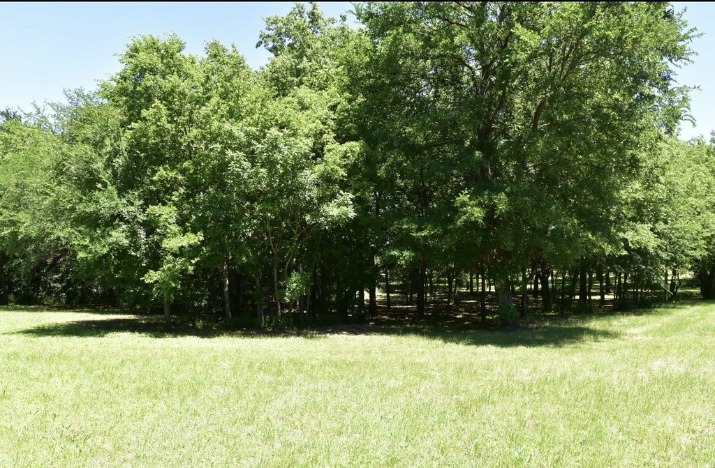Picture 4