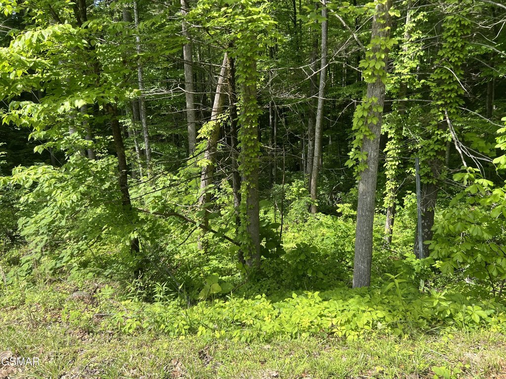 Picture 17