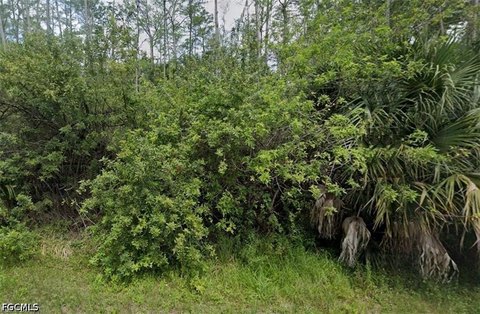LAND - Lehigh Acres, FL