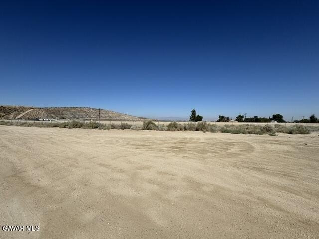 Picture 4