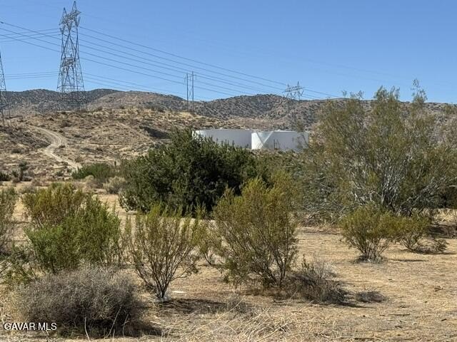 Picture 8