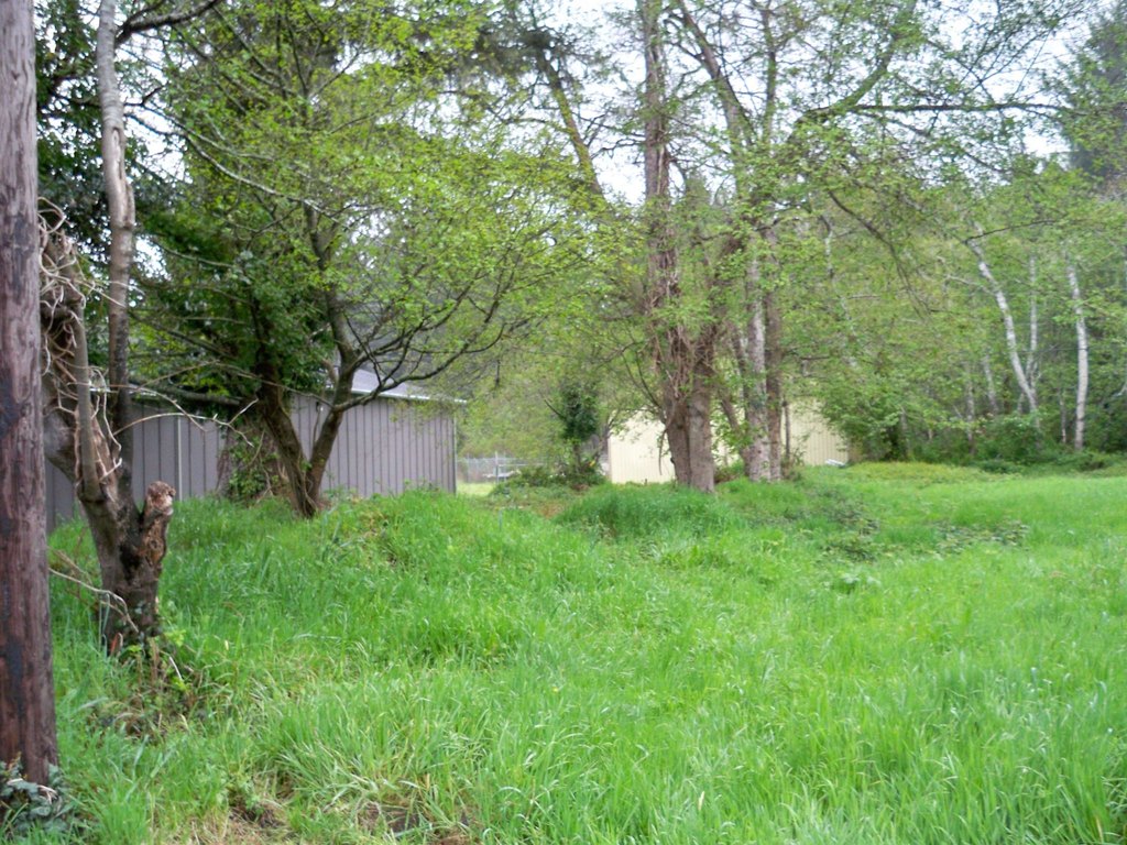 Picture 5