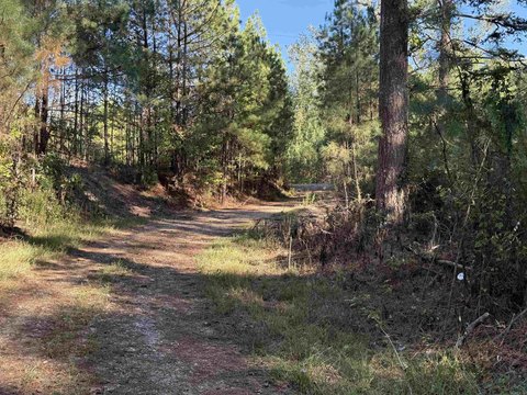 Vacant Land, Arkadelphia, AR