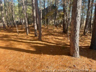Land, Vass, NC