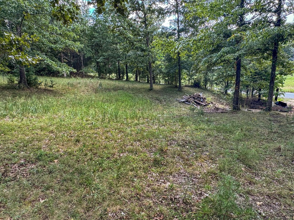 Picture 5