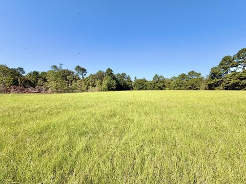 Land, Diboll, TX