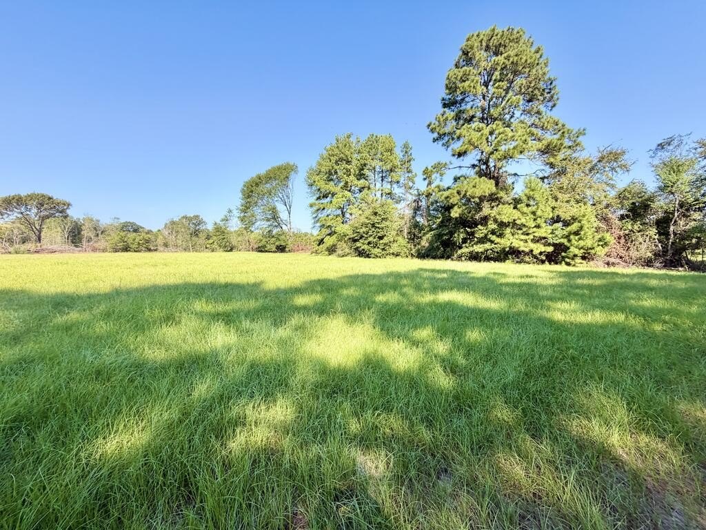 Picture 7