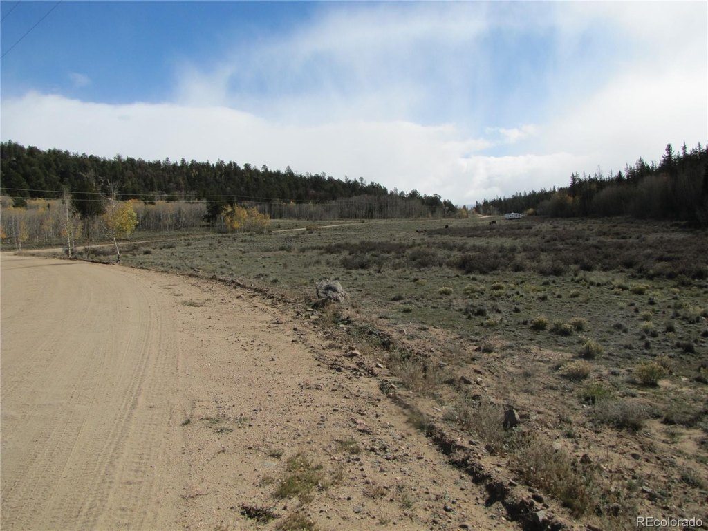 Picture 14