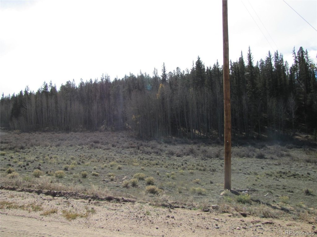 Picture 13
