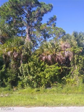 Port Charlotte Land Opportunity