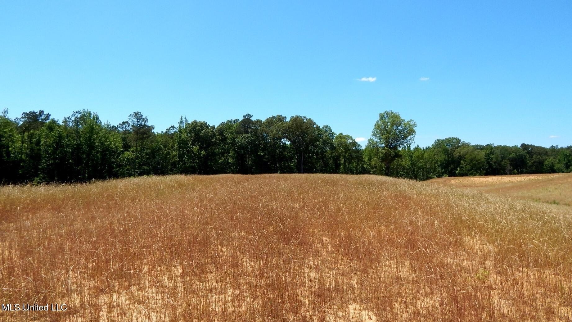 Grenada Lake Area Land