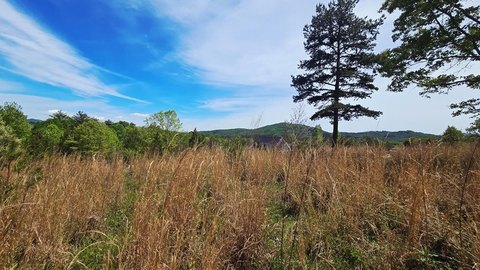 Blairsville, GA Lake Access Lot