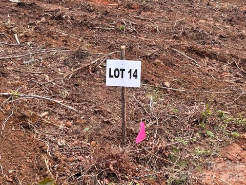 Land, Nebo, NC
