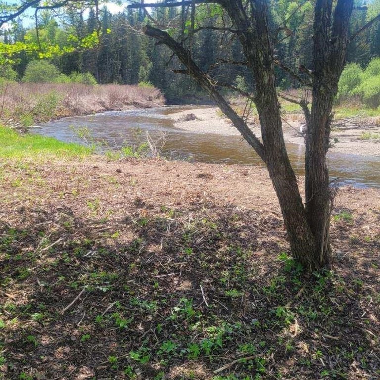 Picture 31