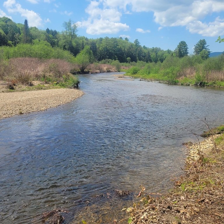 Picture 33