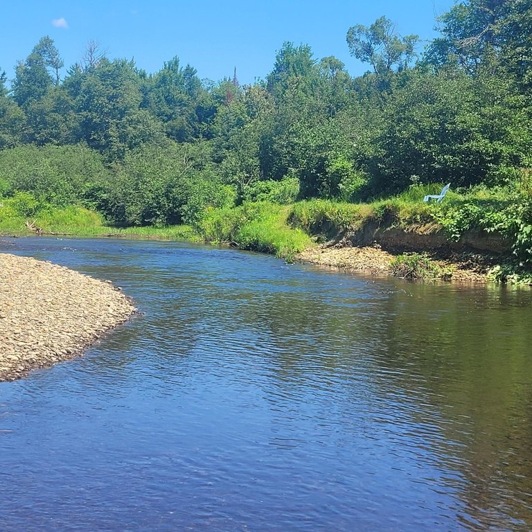 Picture 31