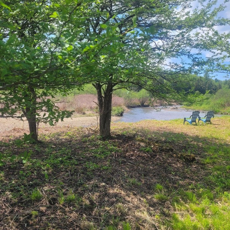 Picture 29