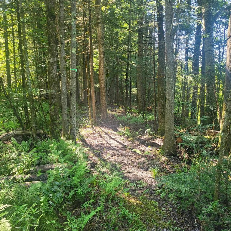 Picture 11