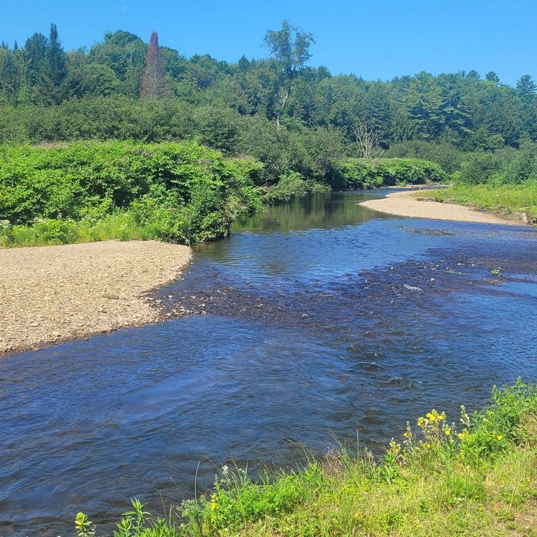 Picture 19