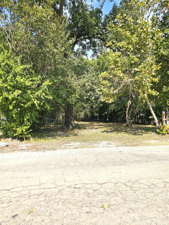 Picture 5